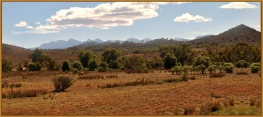 Outback Flinders Ranges - Theo Prucha