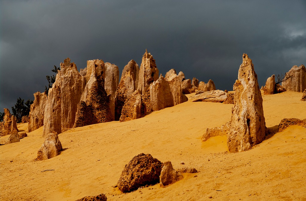 Steve Wallace - The Pinnacles - Cervamtes